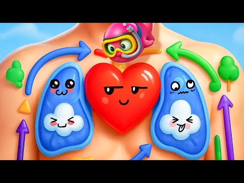 Видео: Сэмми Путешествует Внутри Человеческого Тела! 🧠🫀 Увлекательная Наука для Детей