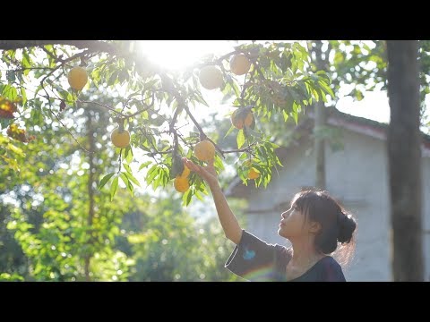 Видео: Повесьте на стол необычный фонарь, который идеально подойдет к блюдам с персиками.Liziqi Channel