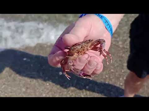 Видео: АНТАЛЬЯ. КЕМЕР. ЗАВТРАК В ОТЕЛЕ PERRE LA MER. ОЛЕГ - ЛОВЕЦ КРАБОВ!! ТУРЕЦКАЯ НОЧЬ. УЕХАЛИ....