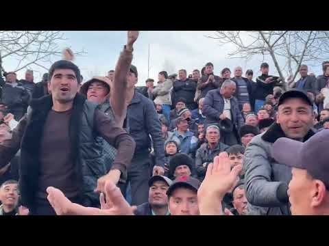 Видео: Волейбол Ошоба ва Пунук