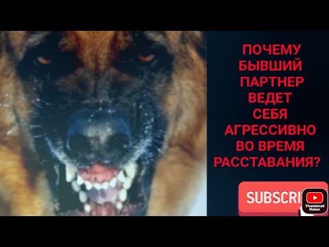 Видео: Почему бывший партнер ведет себя жестоко во время расставания?