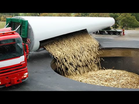 Видео: Зачем Австралия Засыпает Южный Уэльс Миллионами Червей