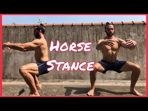 Видео: Как принять стойку лошади | Учебное пособие