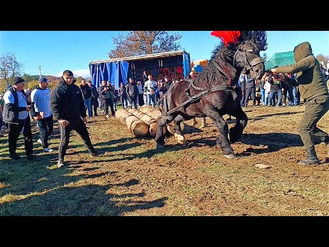 Видео: ГРАНДІОЗНИЙ ФІНАЛ КІННИХ ЗМАГАНЬ с.ПІСТЕНЬ.2025р.