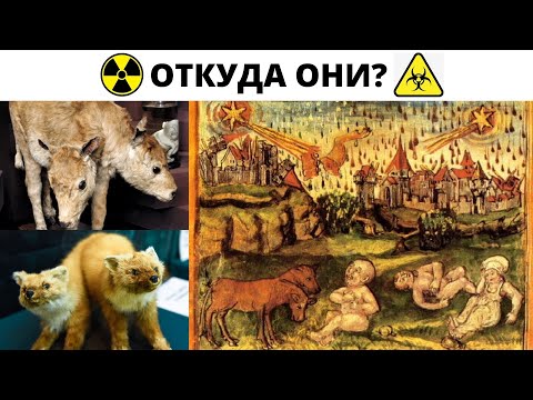 Видео: Откуда ядерные мутанты 17-18 века ?