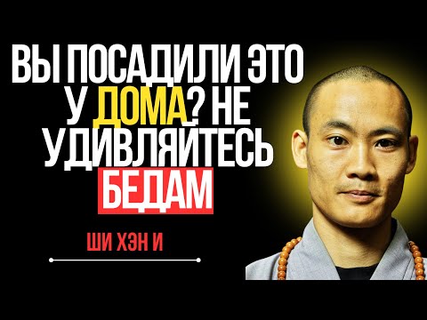 Видео: Семь деревьев, отравляющих энергию вашего дома – Учения Тибета