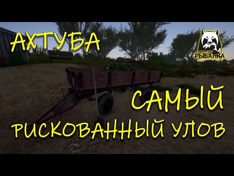 Видео: Русская рыбалка 4. рр4. Ахтуба. Самый рискованный улов!