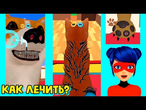 Видео: ЛЕДИ МИЛЕДИ ВЕТЕРИНАР и лечит животных | Лечение животных игра на АНДРОЙД Cute Paws