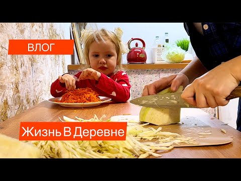 Видео: Одна С Детьми В Деревне/ Влог/купили Дом в деревне