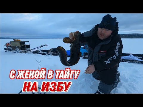 Видео: На МОТОБУКСИРОВЩИКЕ с ЖЕНОЙ на ТАЁЖНУЮ ЛЮКС ИЗБУ. Кухня, рыбалка и ИСПЫТАНИЕ.