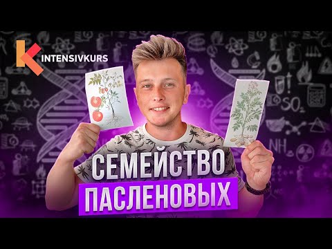 Видео: ПАСЛЕНОВЫЕ – таинственное семейство // Урок Биологии