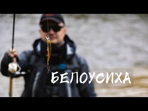 Видео: Ловля семги на Кольском. Река Белоусиха.