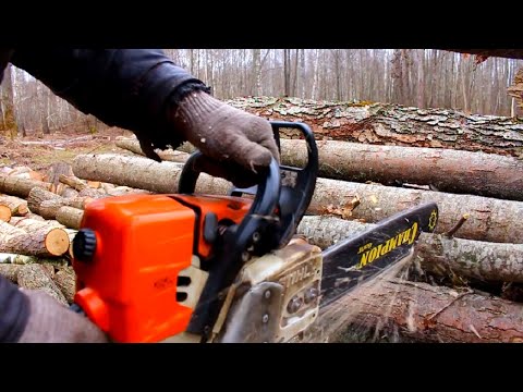 Видео: Китайский STIHL- 361. Эксперимент-Сколько Напилит ДРОВ на полном баке?