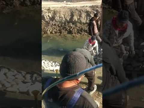 Видео: 5 ноября 2025 г.