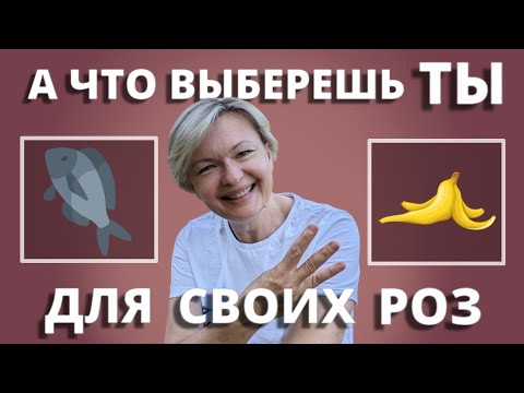 Видео: ТРИ СПОСОБА КОРМИТЬ РОЗЫ. 5 июня 2024 г.