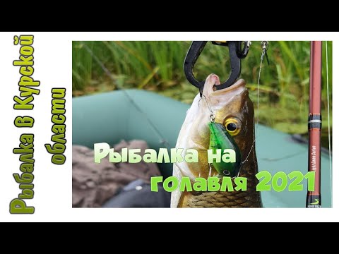 Видео: Трофейный голавль на Lucky Craft Clutch SSR. Рыбалка на голавля 2021. Часть 1
