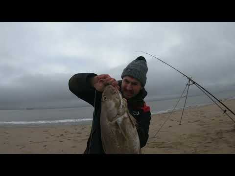 Видео: Треска весом 10 фунтов с побережья Холдернесса — рыбалка с берега — разминка EOBC —