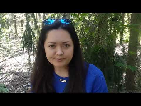 Видео: 103 детские сады в Чехии