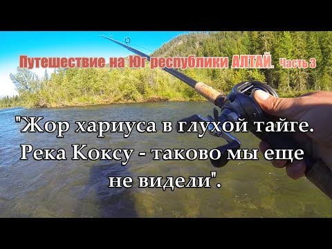 Видео: Попали на ЖОР ХАРИУСА в глухой тайге/Невероятный каньон реки Коксу/Алтай/Лодка Солар 470 Tohatsu #3