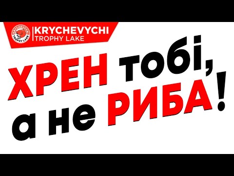Видео: На платнику любий ДУРАК зловить? Рибалка на коропа. Чому не клює?