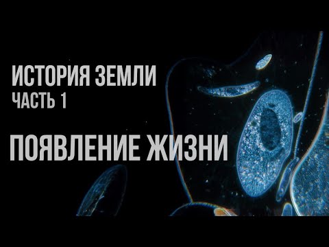 Видео: Как появилась жизнь? [Катархей, Архей, Протерозой]