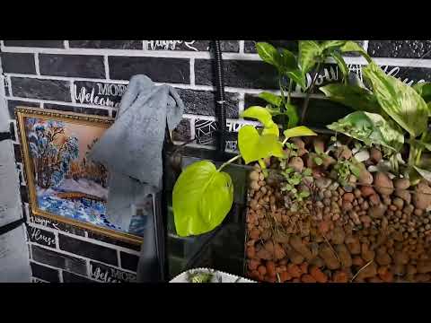 Видео: Вот такие дела 😉