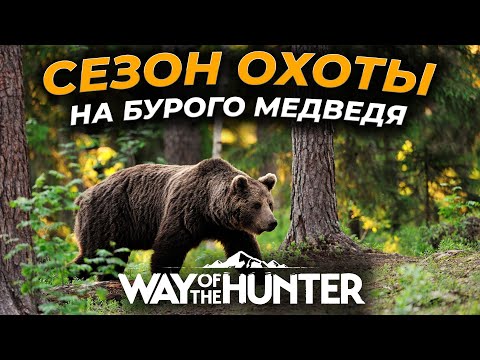 Видео: [СТРИМ] Way of the Hunter ► ОХОТА НА БУРОГО МЕДВЕДЯ НАЧАЛАСЬ - ПАТЧ 1.17