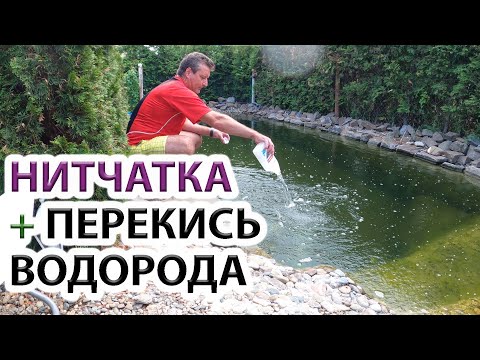 Видео: Очистка пруда - бассейна перекисью водорода. Есть нитчатка?  Цветет пруд и бассейн? Наш опыт.