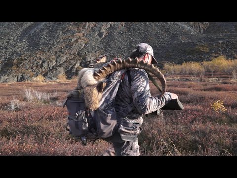 Видео: Охотничьи приключения - 2-8 (Алтай) / Vorsordakan Arkacner - 2-8 (Altai)