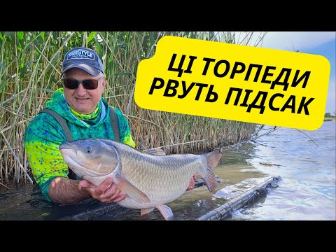 Видео: ЦІ ТОРПЕДИ РВУТЬ ПІДСАК. Хмільна кукурудза творить дива!