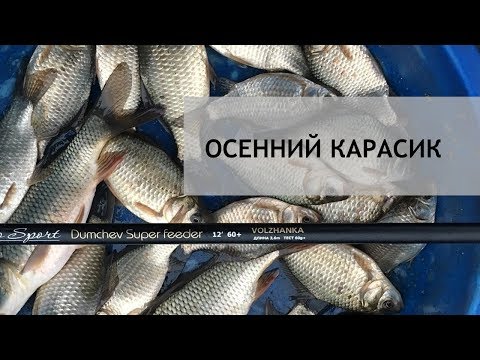 Видео: Осенний карасик.