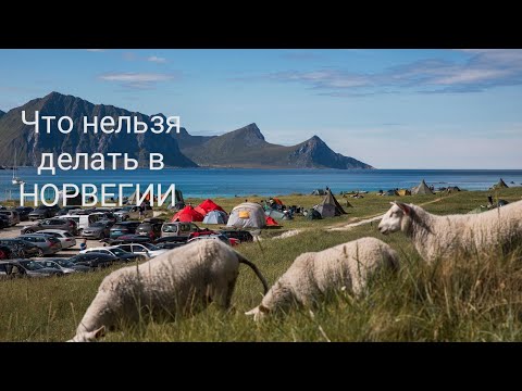 Видео: Что нельзя делать в Норвегии. Местные запреты.