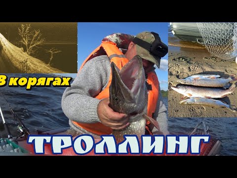 Видео: Сентябрьский троллинг: Как щуки клюют в корягах?