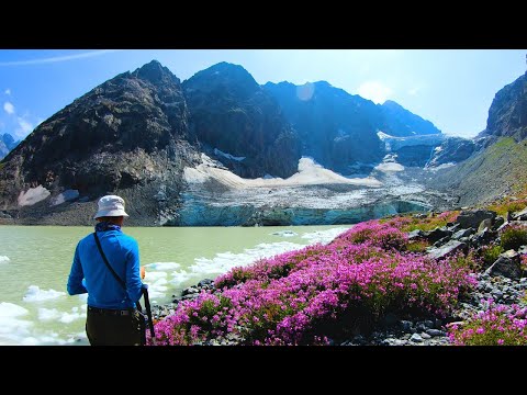 Видео: Озеро Аманауз - самое райское место на Северном Кавказе | Архыз 2025