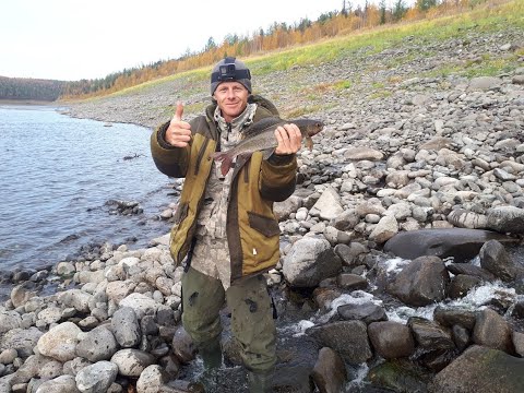 Видео: Рыбалка на горной реке.  Осенний жор хариуса! (Серия 1)