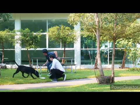 Видео: ✨Ram×King - мой инженер✨