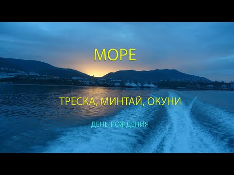 Видео: Море, треска, минтай, окуни, и день рождения