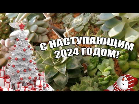 Видео: С наступающим 2024 годом!