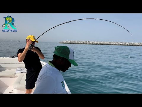 Видео: Что за Монстр на городском пляже в Дубай? Рыбалка в Эмиратах