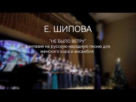 Видео: "Не было ветру" - Елена Шипова