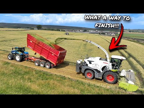 Видео: ИЗВЕСТНЫЕ В МИРЕ ФЕРМЫ МЕТКАЛФ!!!