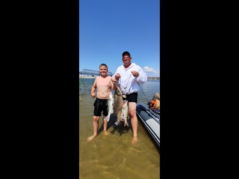 Видео: ЛЕТНЯЯ РЫБА на ДОНУ #fishing #судак