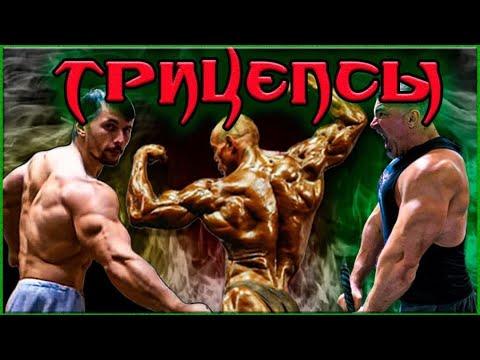 Видео: Трицепсы от А до Я с Андреем Замятиным и Диасом Апокрифом