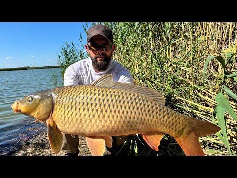 Видео: !!! НЕЙМОВІРНА РИБАЛКА біля озера !!! Ти не повіриш, що сталося!