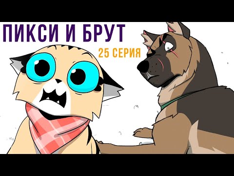 Видео: Пикси и Брут. 25 серия. Комиксы | Мемозг 1155