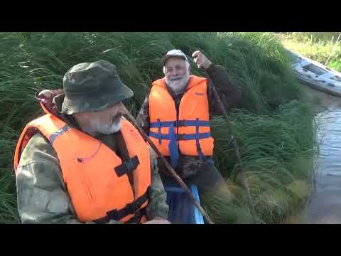 Видео: Можно ли есть сыктывкарский бородинский хлеб #7