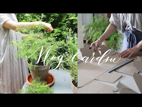 Видео: Один день в неделю сосредоточиться на домашней работе/организации/ садоводства/