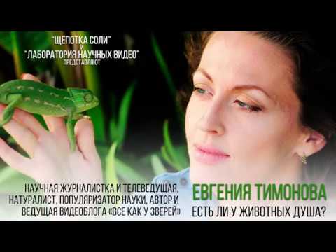 Видео: Евгения Тимонова. Есть ли у животных душа. (Декабрь 2017)