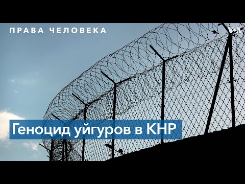 Видео: Преследование уйгуров в Синьцзяне