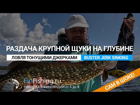 Видео: Ловля джерками на глубинах или раздача крупной щуки. Strike Pro Buster Jerk Sinking (Тонущий)